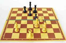 chess-(b)